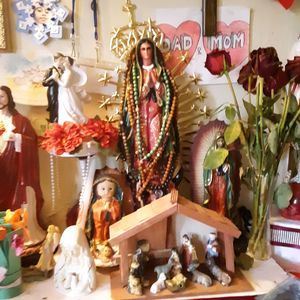 Meet your Posher, Elmer lopez